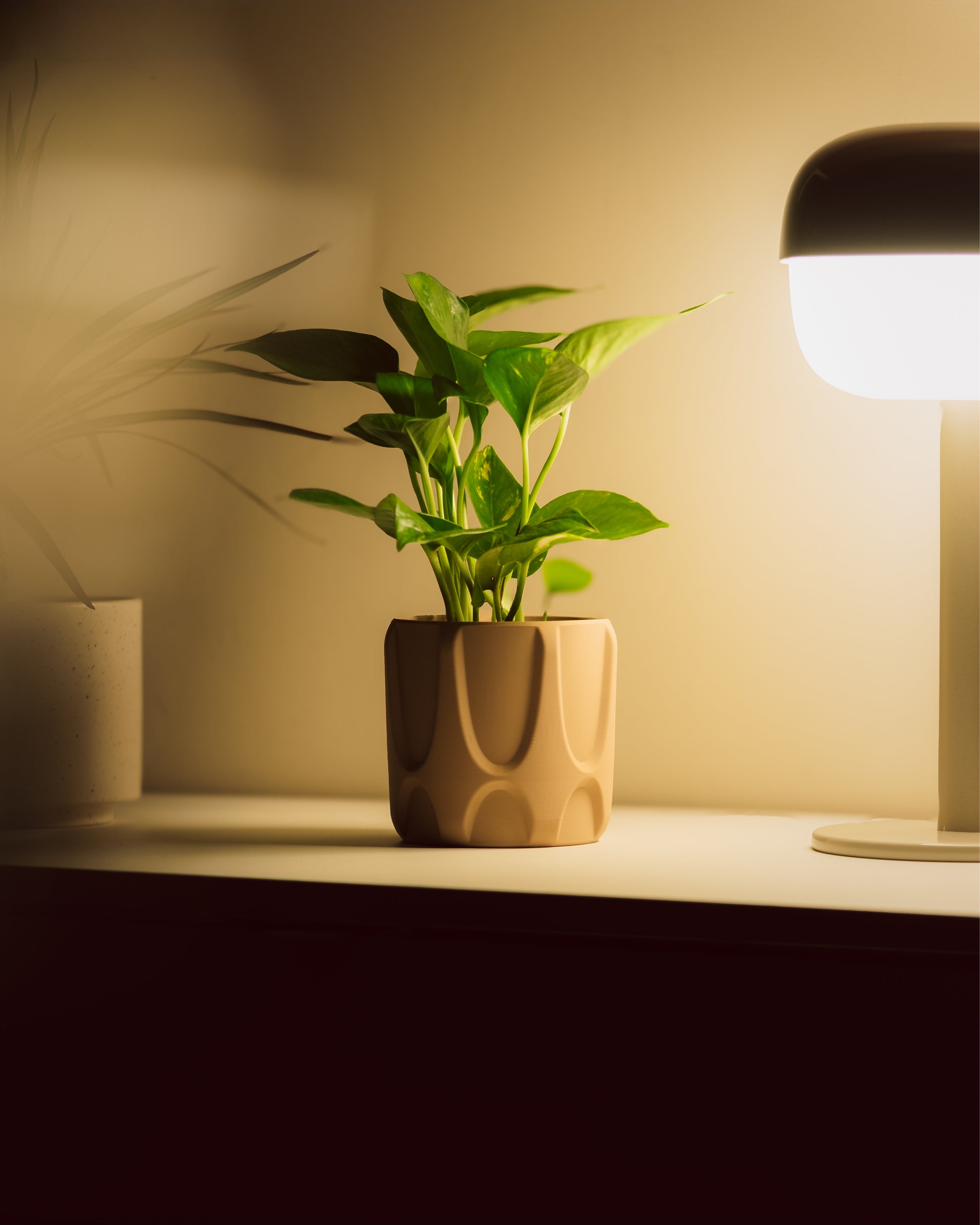 YOSEF Planter